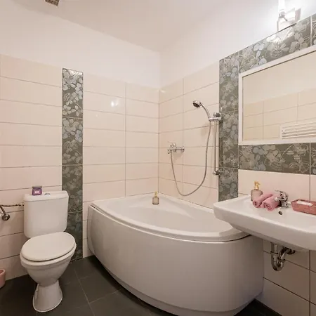 بيت ضيافة U Babky Bylinkarky 3*