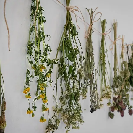 U Babky Bylinkarky 3*