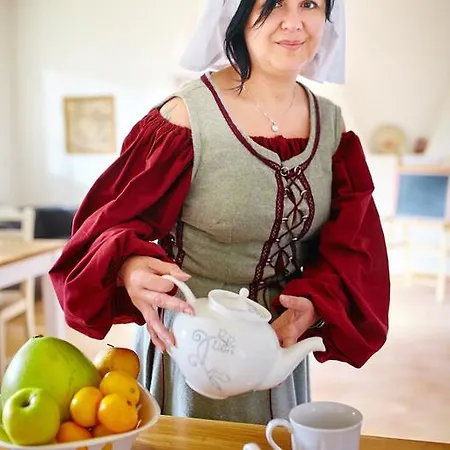 U Babky Bylinkarky 3* كوتنا هورا