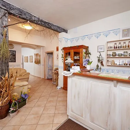 بيت ضيافة U Babky Bylinkarky 3*