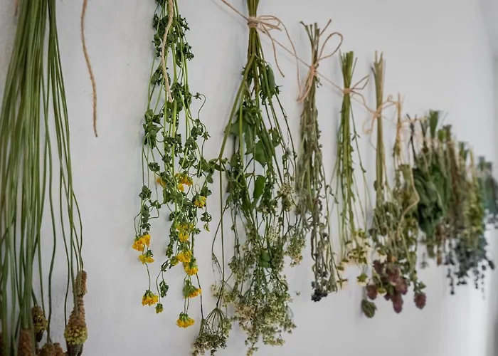 U Babky Bylinkarky 3*