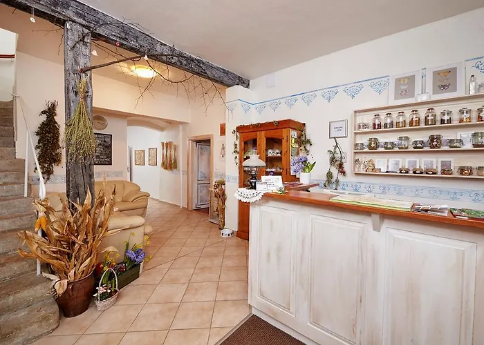 Gasthuis U Babky Bylinkarky 3*